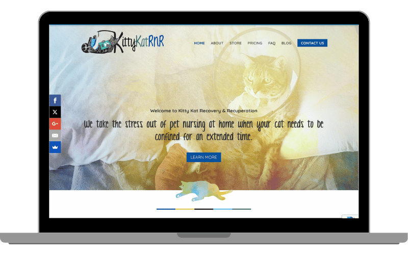 Kitty Kat Recovery & Recuperation