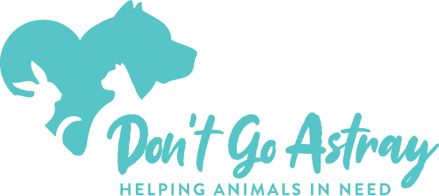 Don't Go Astray