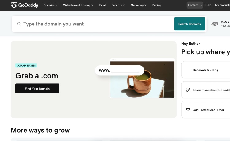 teck design and marketing godaddy
