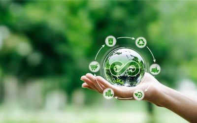 Content Repurposing: Maximise ROI by Transforming Content for Multiple Platforms